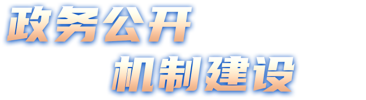 政務(wù)公開 機(jī)制建設(shè)