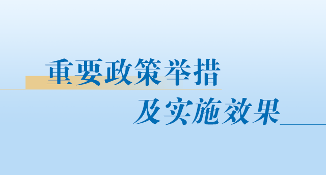 重要政策舉措及實(shí)施效果