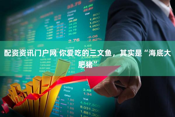配资资讯门户网 你爱吃的三文鱼，其实是“海底大肥猪”