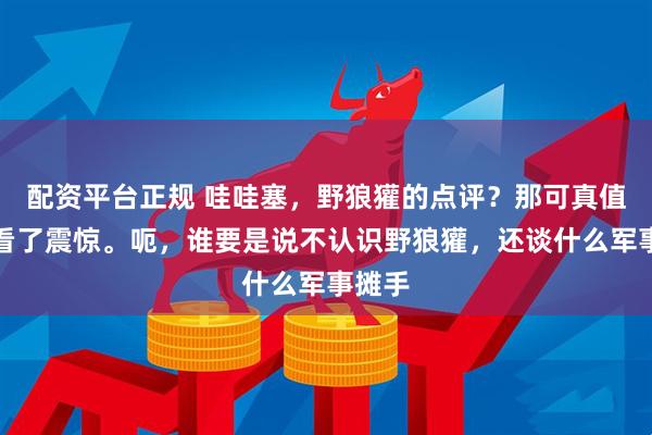 配资平台正规 哇哇塞，野狼獾的点评？那可真值得一看了震惊。呃，谁要是说不认识野狼獾，还谈什么军事摊手