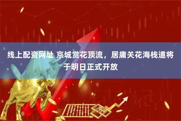 线上配资网址 京城赏花顶流，居庸关花海栈道将于明日正式开放