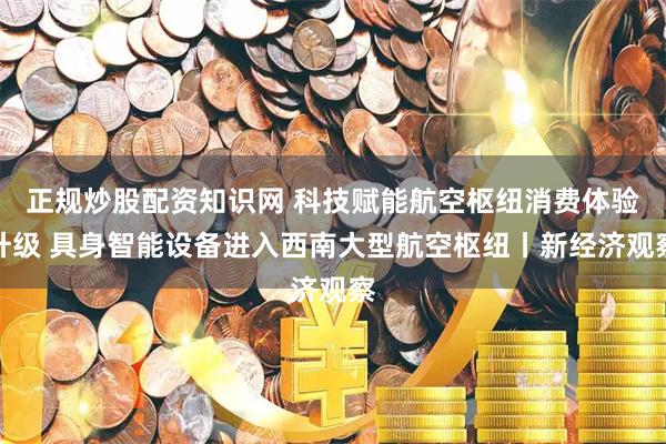 正规炒股配资知识网 科技赋能航空枢纽消费体验升级 具身智能设备进入西南大型航空枢纽丨新经济观察